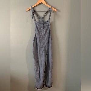 aerie Striped Blue Denim Overalls